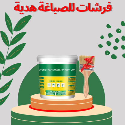 طلاء مانع التسرب مقاوم للماء وشفاف للمنزل